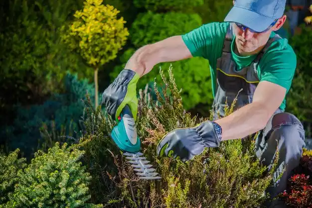 landscaping services Cadiz